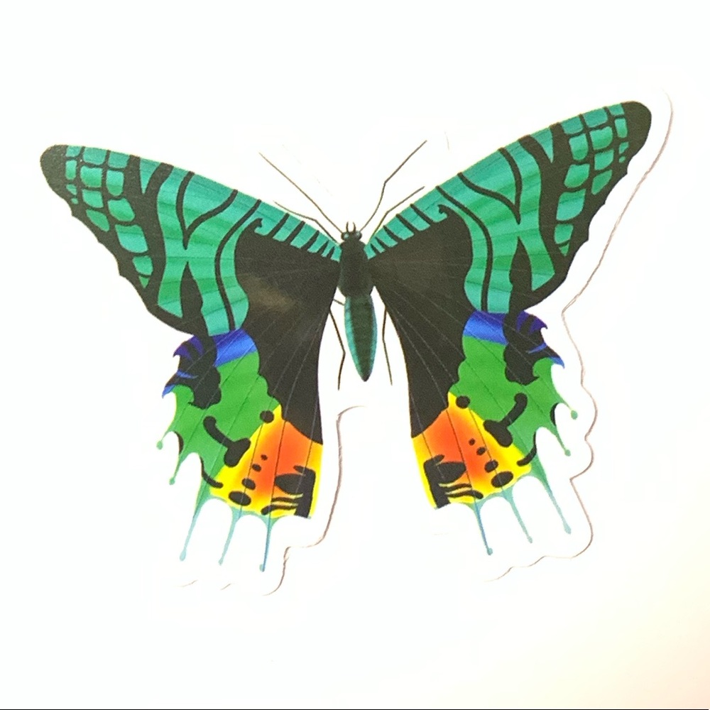Butterfly Vinyl Sticker